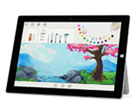 百色Surface 无法开启、Windows 无法启动或电池无法充电